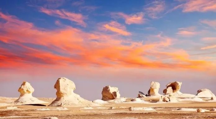 Sahara Desert: Camel Treks & Berber Camps Under a Million Stars