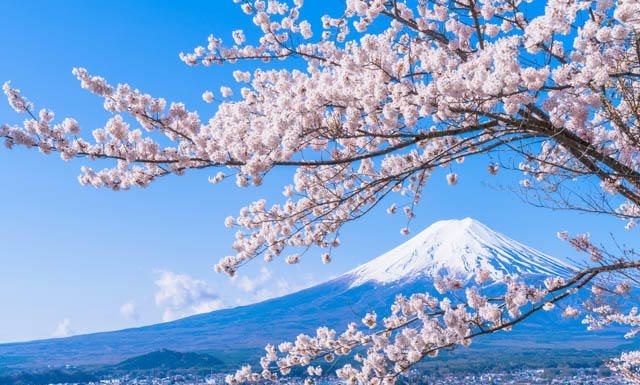 Kyoto: Zen Aesthetics & Seasonal Elegance in Japan’s Ancient Capital