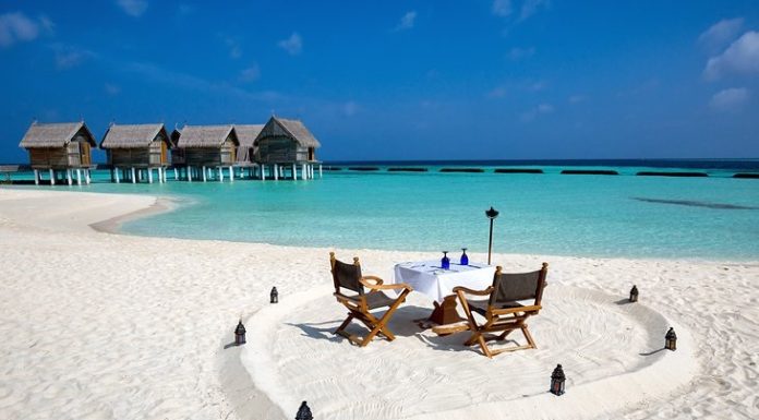 Madeira Islands: The “Floating Garden” of the Atlantic