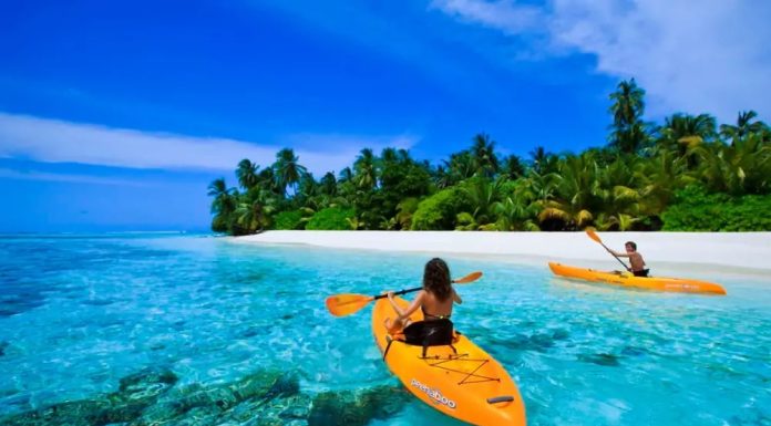 🏔️ 5 Best National Parks in Spain: From Pyrenees to Doñana