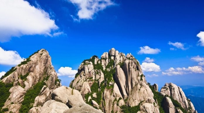 🎨 Gaudí’s Masterpieces: Barcelona’s Architectural Wonders (Sagrada Família, Casa Milà…)