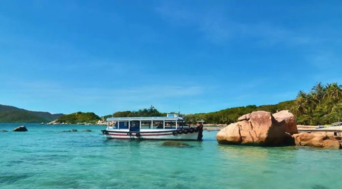 🌵 Canary Islands: Spain’s “Islands of Eternal Spring” – Volcanic Beaches & Sunshine