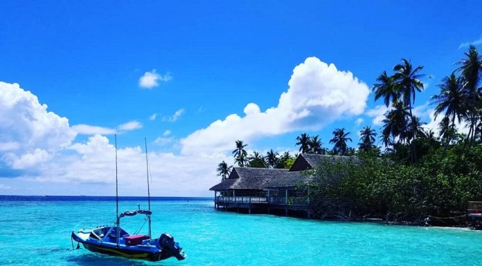 🎉 Spain’s Wildest Festivals: From La Tomatina to Las Fallas – Are You Ready?