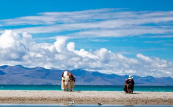 🎨 Gaudí’s Masterpieces: Barcelona’s Architectural Wonders (Sagrada Família, Casa Milà…)