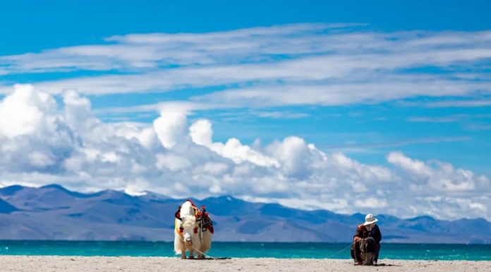 🎨 Gaudí’s Masterpieces: Barcelona’s Architectural Wonders (Sagrada Família, Casa Milà…)