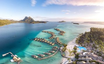 Amalfi Coast: Lemon Groves & Azure Coves