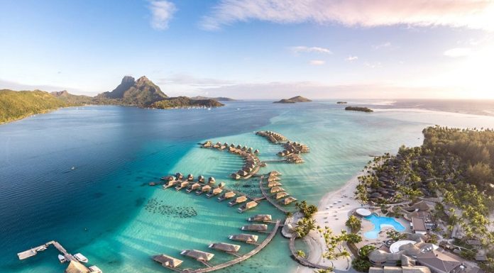 Amalfi Coast: Lemon Groves & Azure Coves