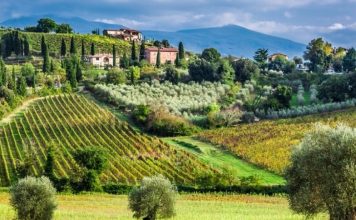 Bordeaux Uncorked: Journey Through Legendary Wine Châteaux