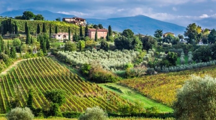 Bordeaux Uncorked: Journey Through Legendary Wine Châteaux